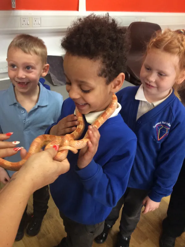 Gallery - created at 2024-03-05 13:52:56 - image 9 Gallery - created at 2024-03-05 13:52:56 - image 9