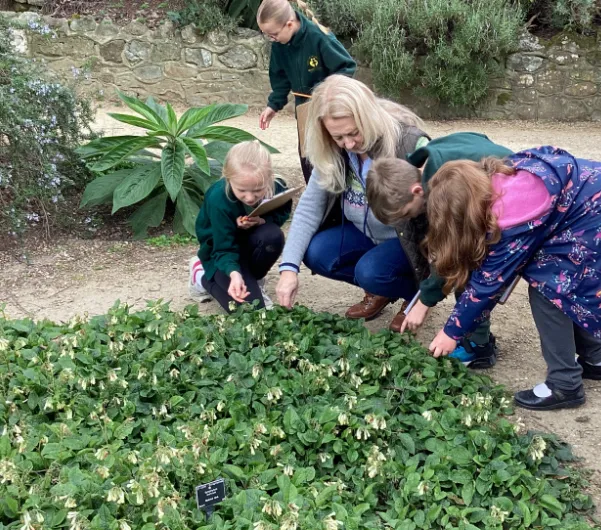 LKS2 Botanical Gardens Trip - image 32