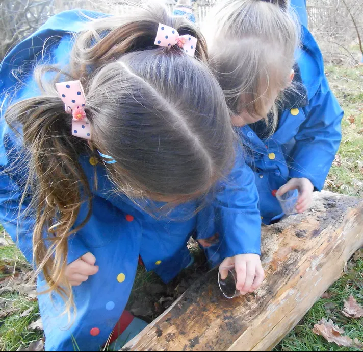 Forest School - image 4