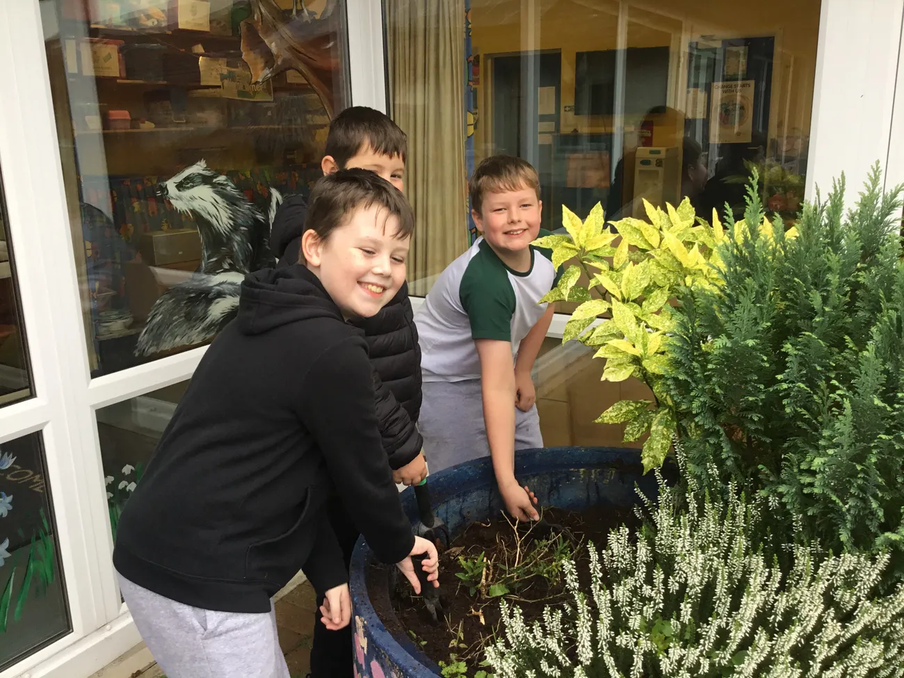 Gallery - created at 2021-11-08 14:16:02 - image 3