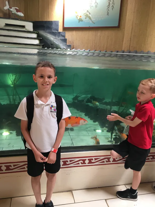 Gallery - created at 2019-07-19 12:20:49 - image 0