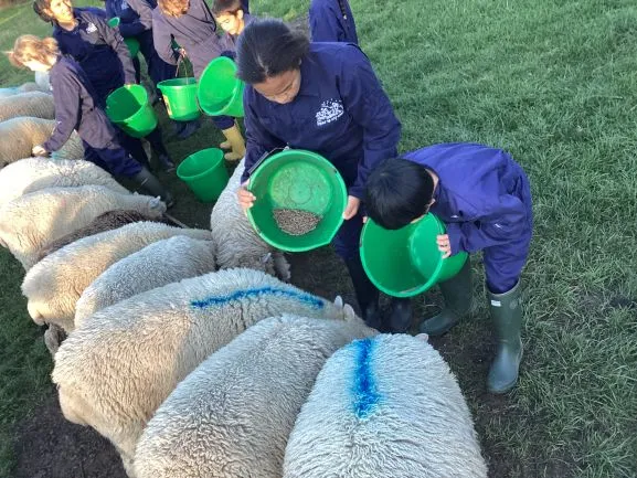 Farm Trip 25 - Gallery 2 - image 24