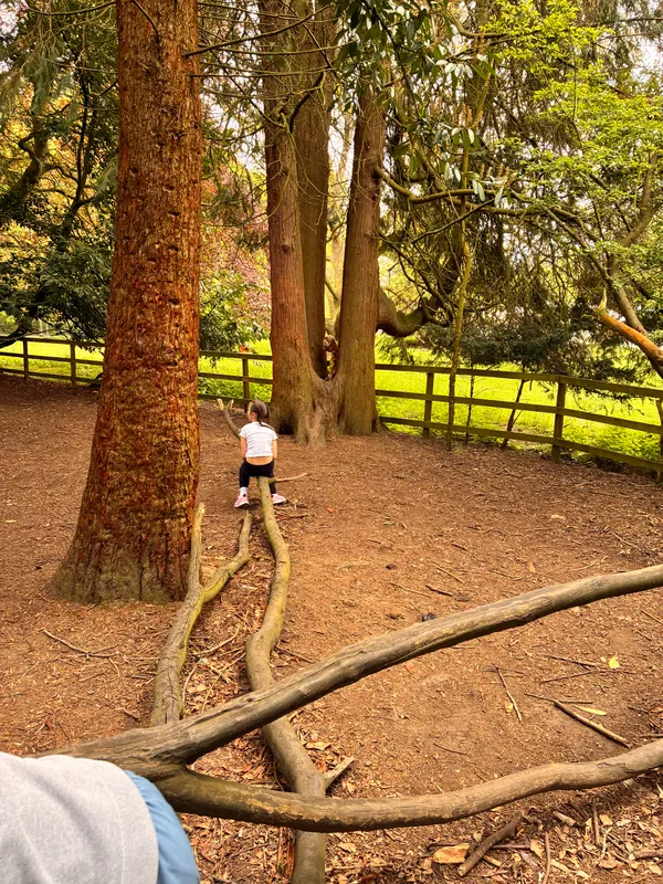 Year 3 Losehill Residential 2026 - image 75