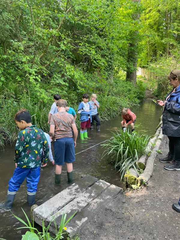 Drews Pond Woods - image 19