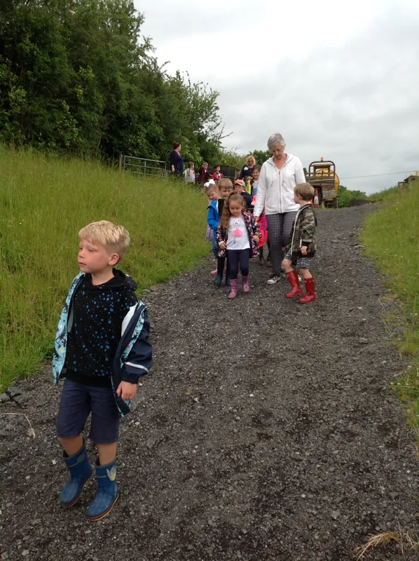 Gallery - created at 2019-07-22 08:04:57 - image 41 Gallery - created at 2019-07-22 08:04:57 - image 41