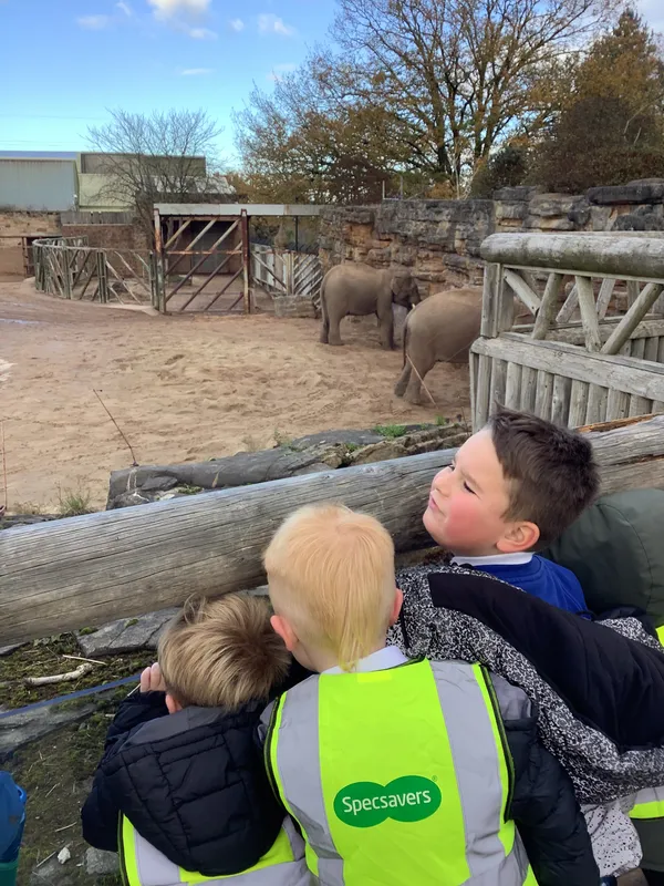 SC Chester Zoo trip - image 3