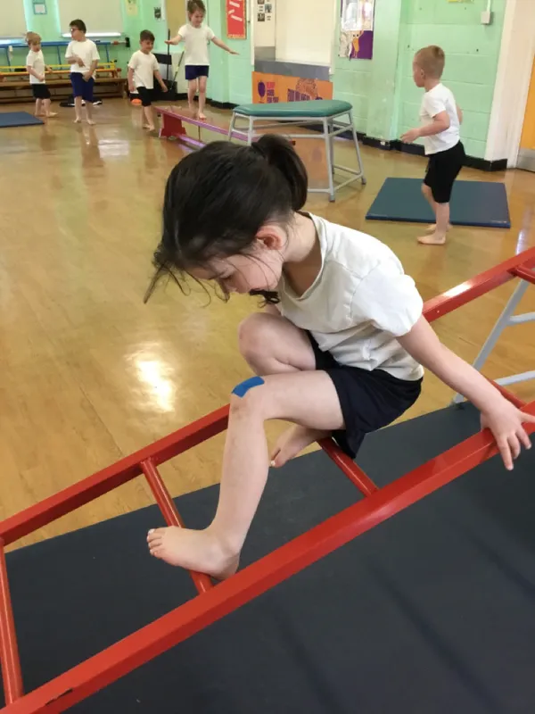 PE Gallery - image 9