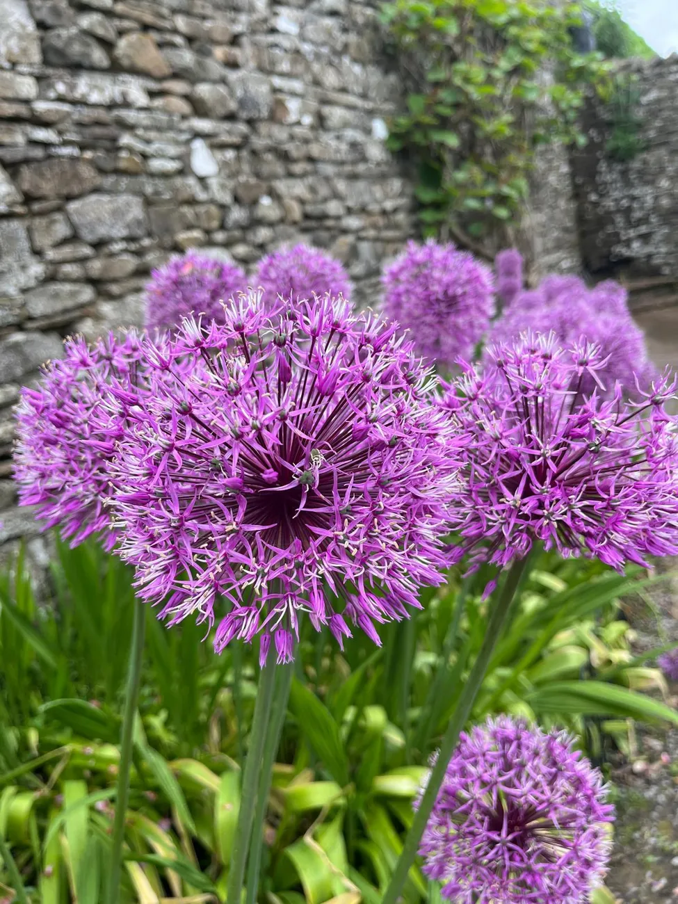 Gallery - created at 2024-06-06 15:19:10 - image 18