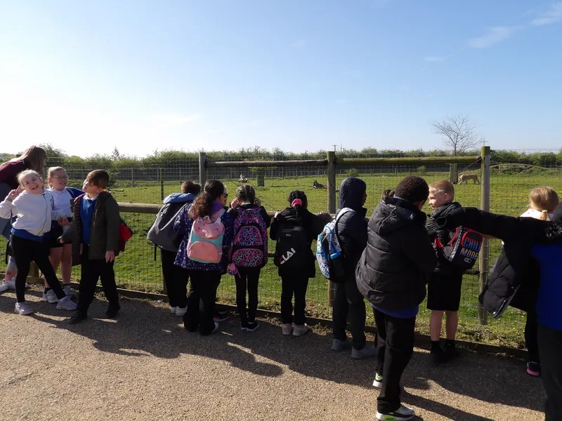 Y3 Yorkshire Wildlife Park Trip - image 32