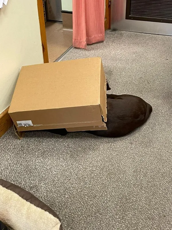 Gallery - created at 2021-06-30 13:57:57 - image 28