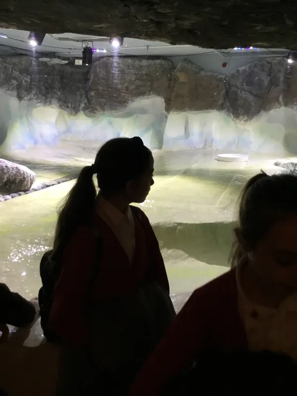 Year 5 Sealife Centre  - image 47