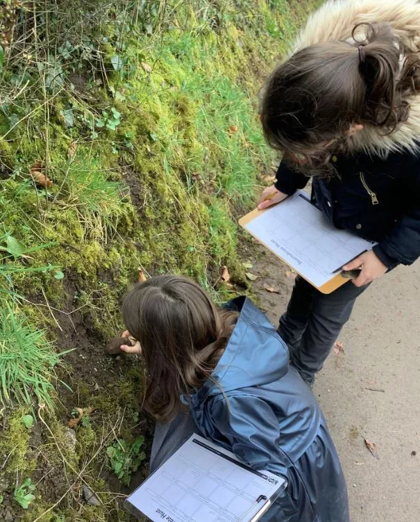 Gallery - created at 2023-04-13 12:54:34 - image 2