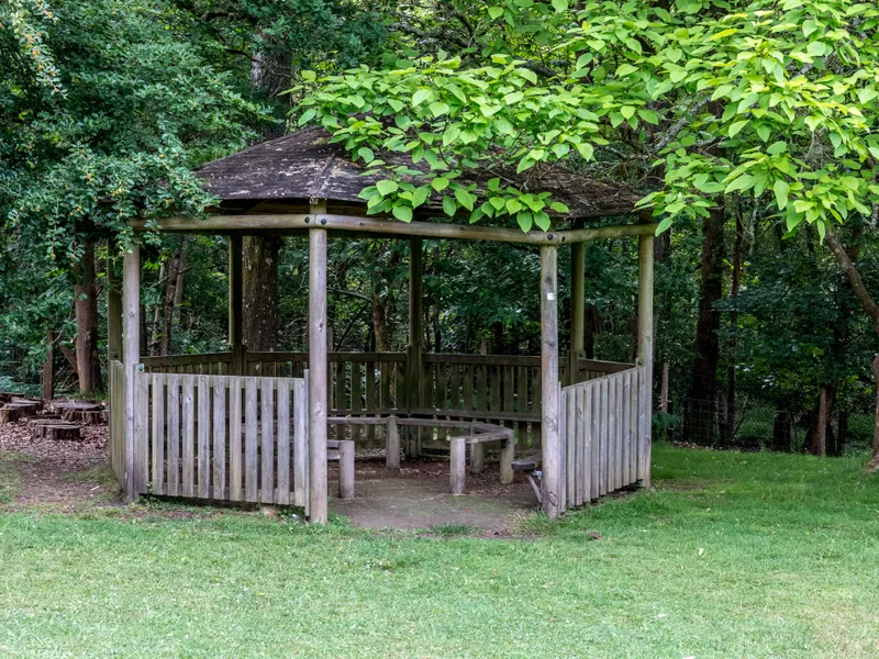 Gallery - created at 2023-08-05 12:54:35 - image 10 Gallery - created at 2023-08-05 12:54:35 - image 10