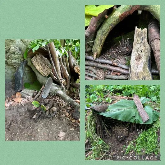 Summer 2024 - 5th June - Oaks - Mud Hedgehogs, Hedgehog Houses and Toffee Apples - image 3 Summer 2024 - 5th June - Oaks - Mud Hedgehogs, Hedgehog Houses and Toffee Apples - image 3