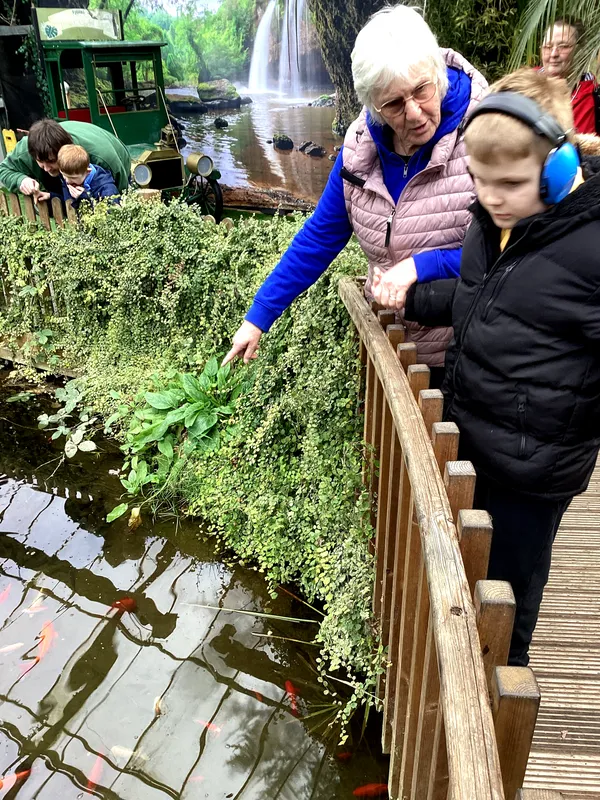 Yellow Class Trip to St John's 2026  - image 8