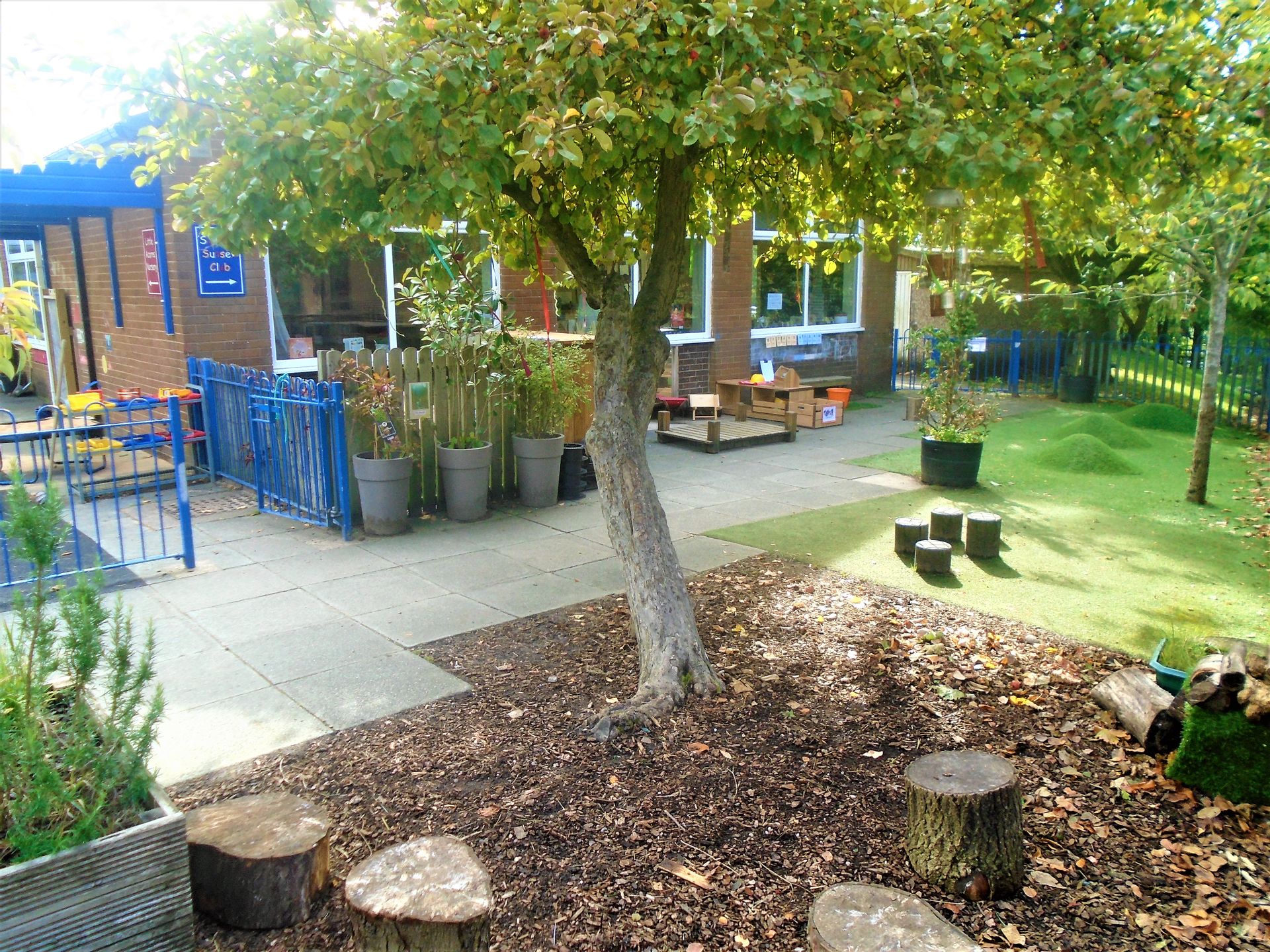 Home Little Acorns Nursery