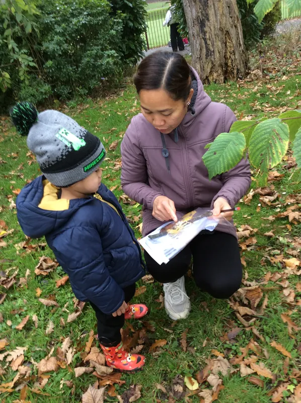 Gallery - created at 2024-11-05 15:27:50 - image 56 Gallery - created at 2024-11-05 15:27:50 - image 56