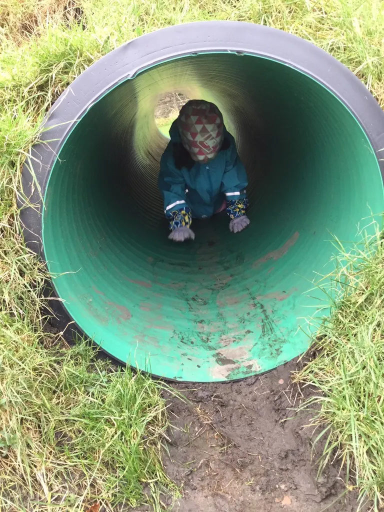 Forest School - image 2