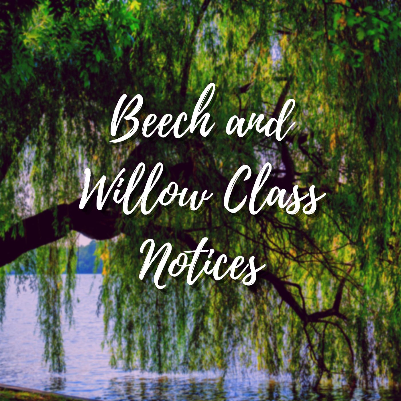 Beech and Willow Class News