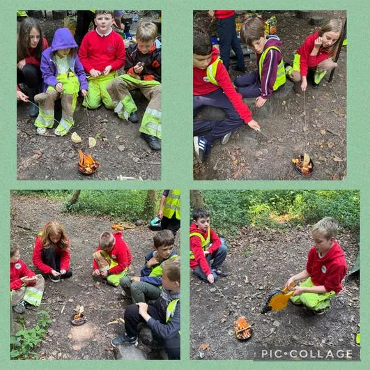 Forest Schools 1 - image 2 Forest Schools 1 - image 2