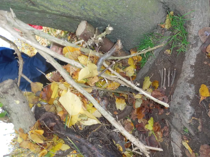 Gallery - created at 2019-11-14 13:10:46 - image 21 Gallery - created at 2019-11-14 13:10:46 - image 21