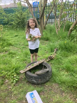 Year 2 GCrosby - image 3