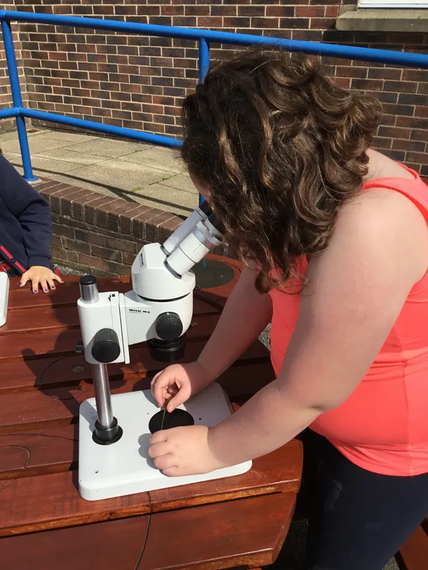 Gallery - created at 2019-09-17 19:22:10 - image 16 Gallery - created at 2019-09-17 19:22:10 - image 16