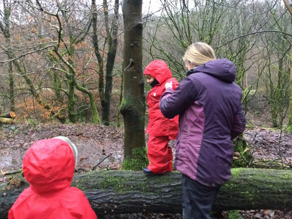 Healey Dell - image 16