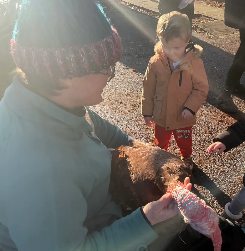 Stella ‘Farm on wheels’ part 2  - image 9