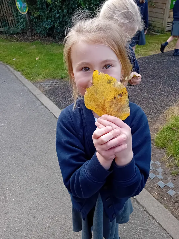 Robins searching for autumn treasures - image 6 Robins searching for autumn treasures - image 6