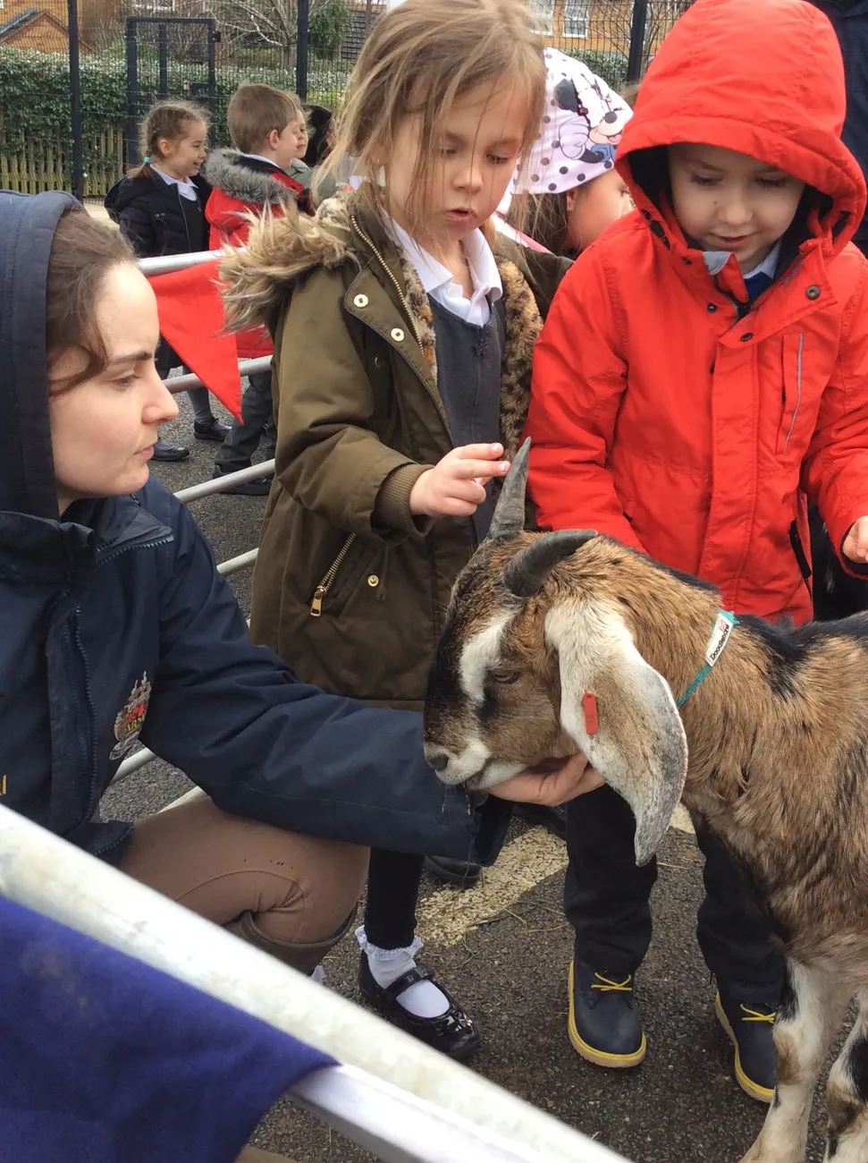 Gallery - created at 2022-03-04 13:11:52 - image 3