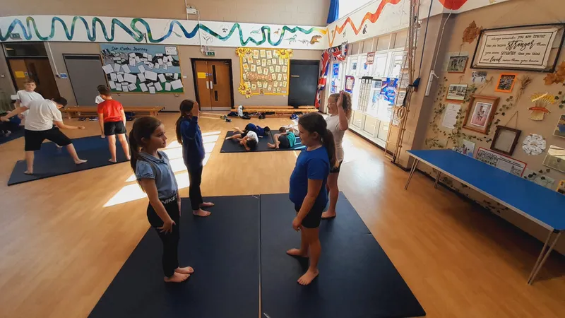 Ospreys have been learning about mirroring and matching in gymnastics - image 8 Ospreys have been learning about mirroring and matching in gymnastics - image 8