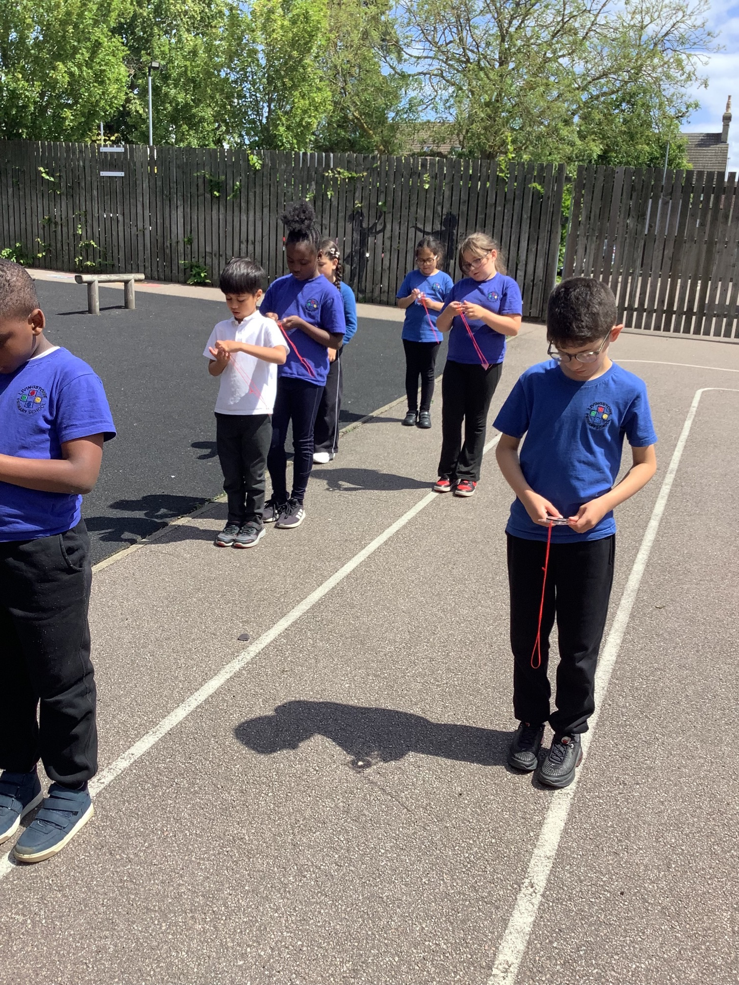 Compass Skills in Woodpeckers