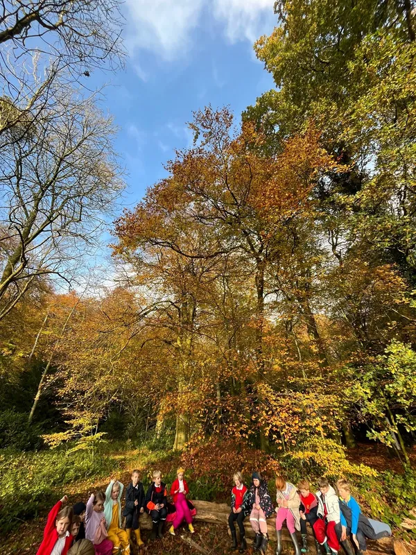 Gallery - created at 2022-11-14 17:15:19 - image 1