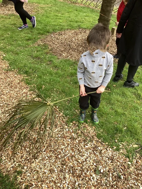 Forest School - image 4