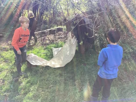 Farm Trip - Gallery 4 - image 28