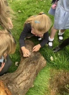 Gallery - created at 2022-12-15 12:37:11 - image 5