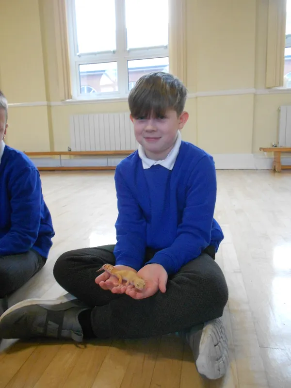 Y6 Reptile Rendezvous - image 37