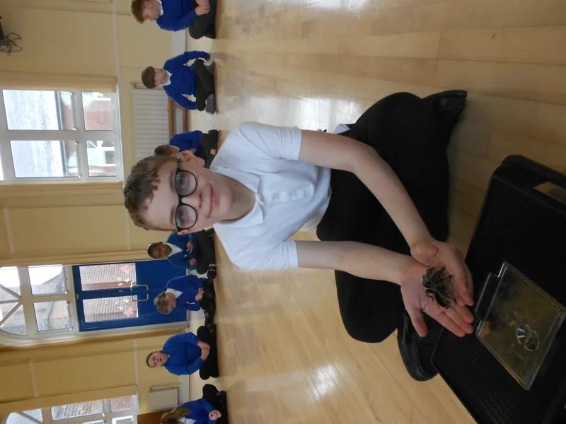 Y6 Reptile Rendezvous - image 81