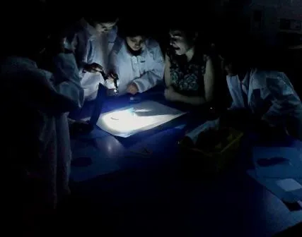 Gallery - created at 2018-01-17 17:01:43 - image 19