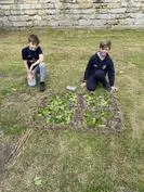 Forest School 98 - image 3 Forest School 98 - image 3