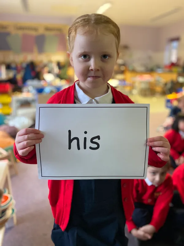 Gallery - created at 2025-01-31 18:29:51 - image 15