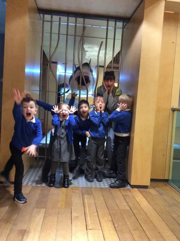 Gallery - created at 2024-02-09 11:53:37 - image 38