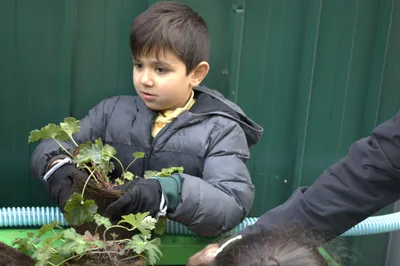 Gallery - created at 2025-11-18 16:17:01 - image 1