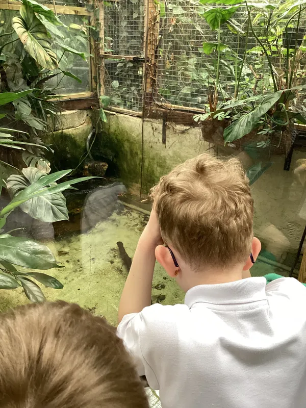 Gallery - created at 2025-03-14 10:11:21 - image 28 Gallery - created at 2025-03-14 10:11:21 - image 28