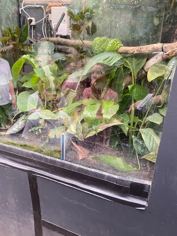 Gallery - created at 2025-06-20 13:57:48 - image 6