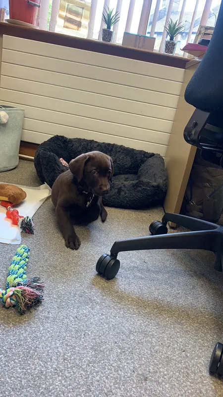 Gallery - created at 2021-06-30 13:57:57 - image 37