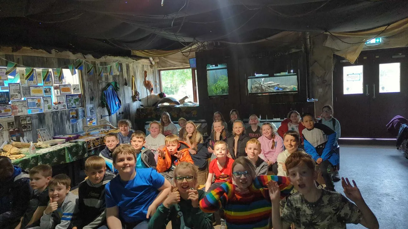 Gallery - created at 2024-06-06 15:03:55 - image 94