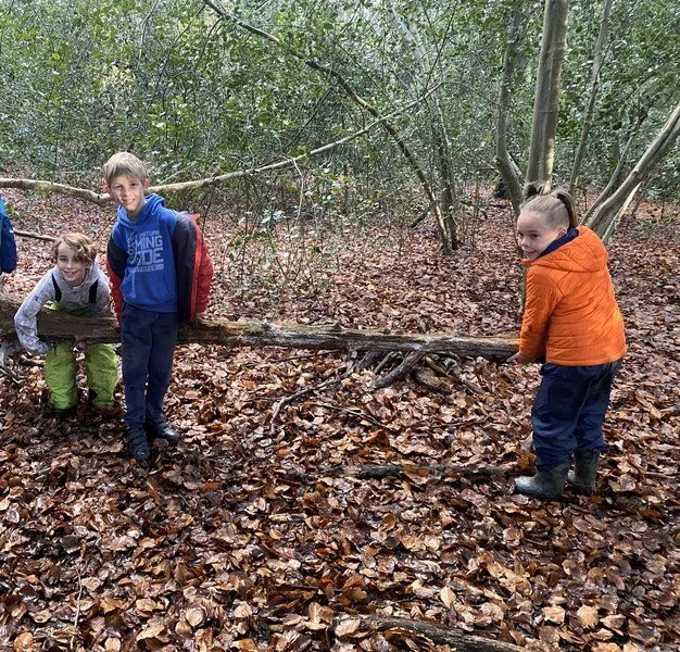 Willow - Term 2 Week 5 - image 1 Willow - Term 2 Week 5 - image 1