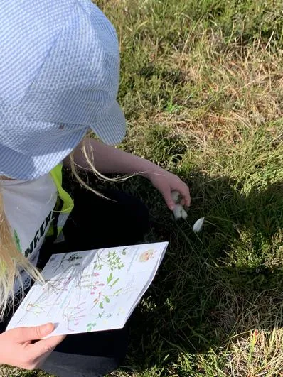 Summer 2023 - 21st June - Oaks - Stoupe Brow Moorland Walk - wildlife, map work (National Parks) - image 11 Summer 2023 - 21st June - Oaks - Stoupe Brow Moorland Walk - wildlife, map work (National Parks) - image 11